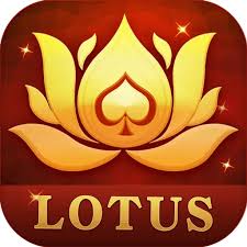 old master teen patti download